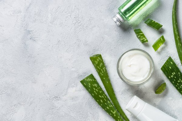 Distributeur aloe vera Maroc : Découvrez une vie plus saine !